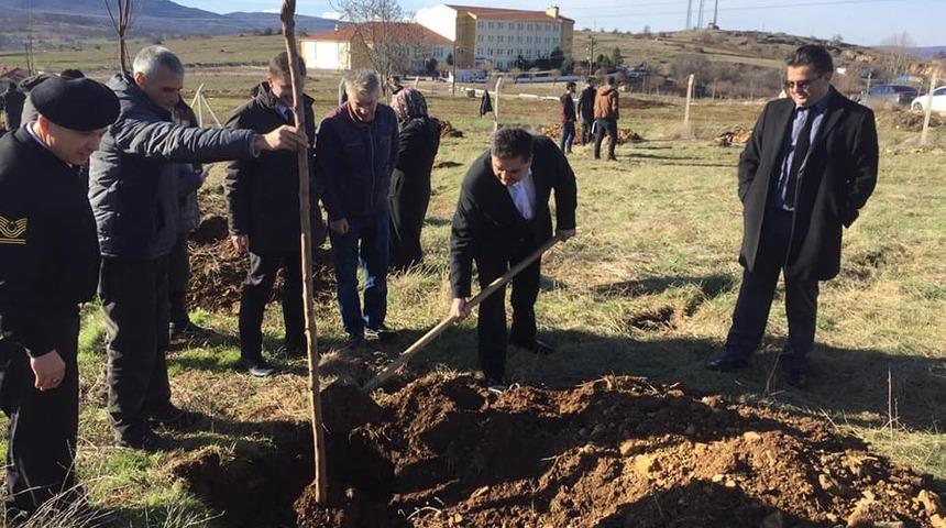 Pazaryeri MYO bahçesine 150 fidan dikildi