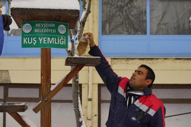 Nevşehir Belediyesi hayvanları unutmadı