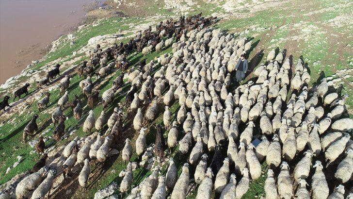 Göçebe hayatların çadırda çetin kışı  G2