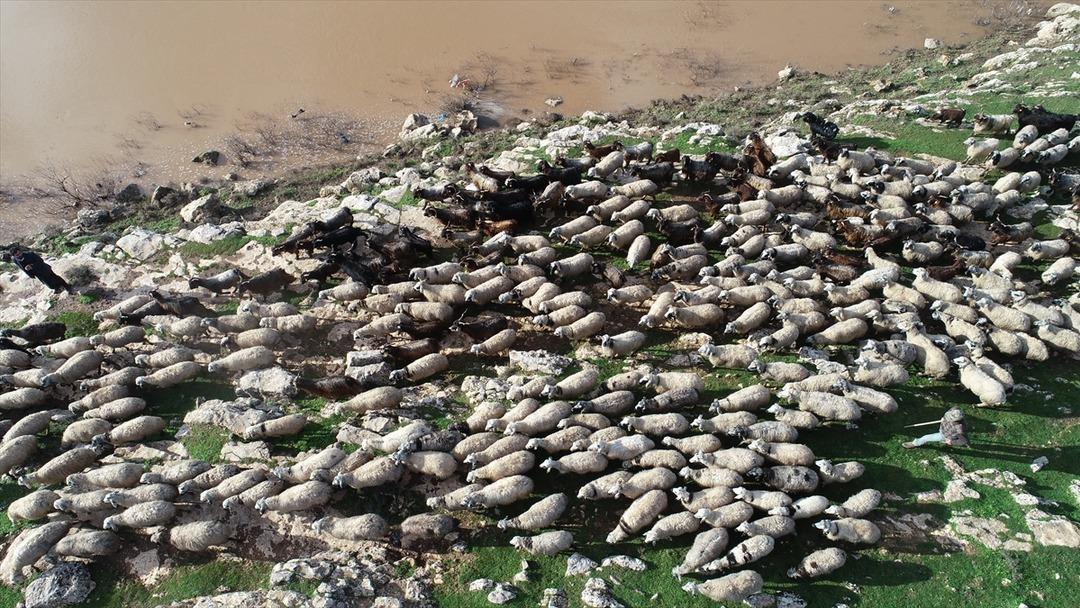 G&ouml;&ccedil;ebe hayatların &ccedil;adırda &ccedil;etin kışı 