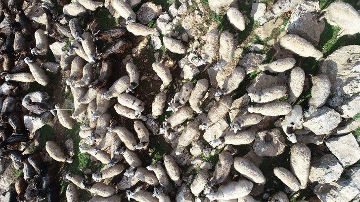 Göçebe hayatların çadırda çetin kışı  G5