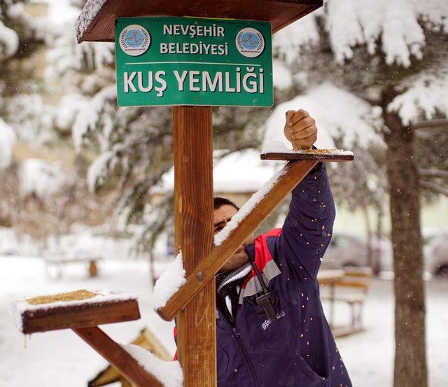 Kayseri ve Nevşehir'de hayvanlar için yem ve mama bırakıldı