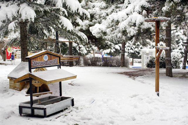 Kayseri ve Nevşehir'de hayvanlar için yem ve mama bırakıldı