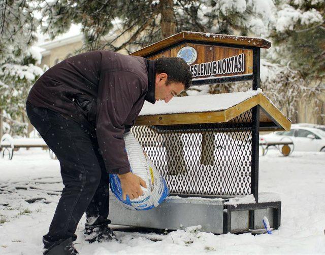 Kayseri ve Nevşehir'de hayvanlar için yem ve mama bırakıldı