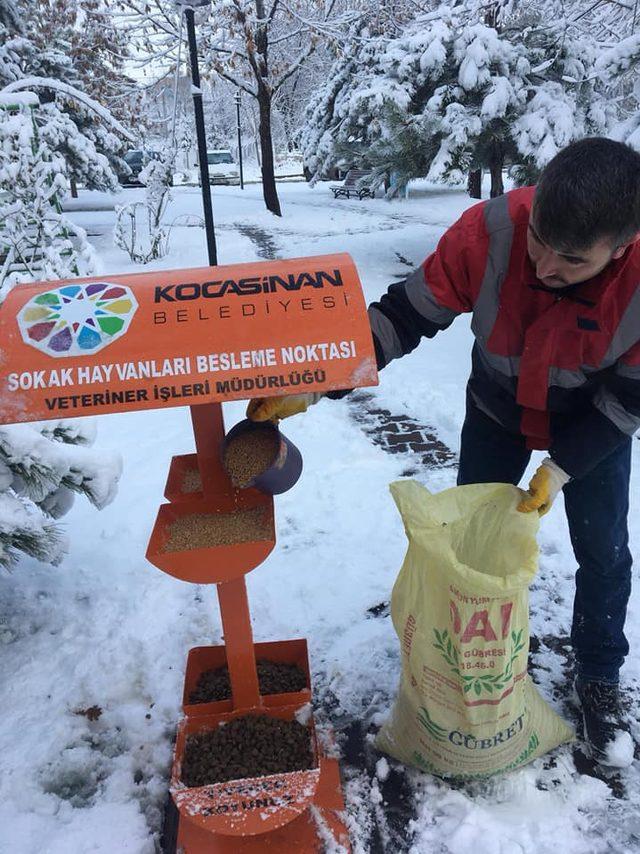 Kayseri ve Nevşehir'de hayvanlar için yem ve mama bırakıldı