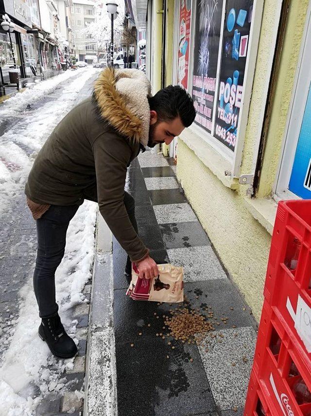 Sokak hayvanlarını unutmadılar