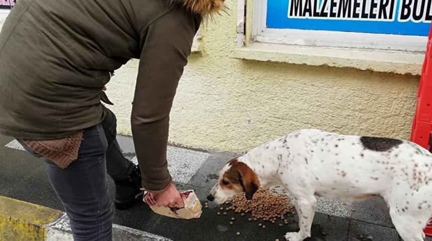 Sokak hayvanlarını unutmadılar