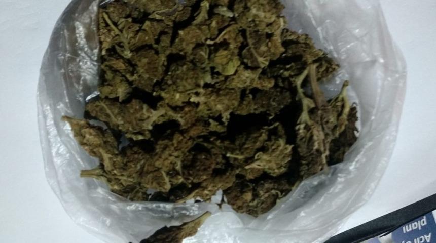 Kuşadası&rsquo;nda 50 gram hint keneviri ele ge&ccedil;irildi