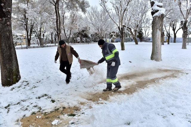 Konya Büyükşehir sahipsiz ve doğal hayattaki hayvanlara yem bıraktı