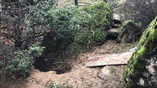 'Botan' kod adlı Veli Taşkıran'ın cesedi bulundu