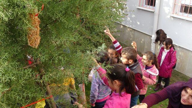 Öğrenciler, kuşlar için ağaçlara yem astı