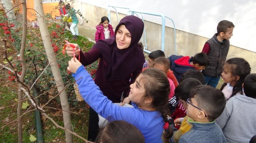 &Ouml;ğrenciler, kuşlar i&ccedil;in ağa&ccedil;lara yem astı