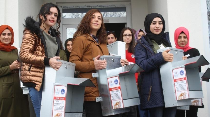 Kars&rsquo;ta KYK &ouml;ğrencileri sokak hayvanlarını sahipsiz bırakmadı