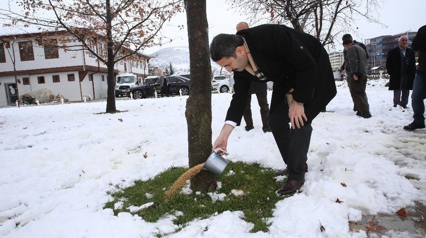 Tokat’ta sokak hayvanlarına yem bırakıldı
