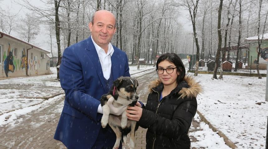 Bakım i&ccedil;in getirilen 2 bin hayvan sahiplendirildi