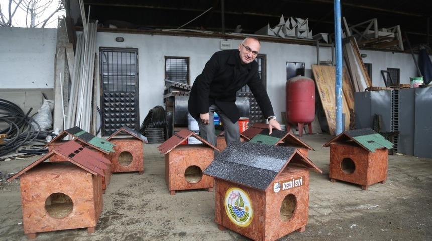 Sapanca Belediyesi&rsquo;nden kedi evleri projesi hayata ge&ccedil;irdi