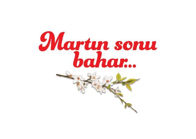 YS 2019 Martin Sonu Bahar Logo