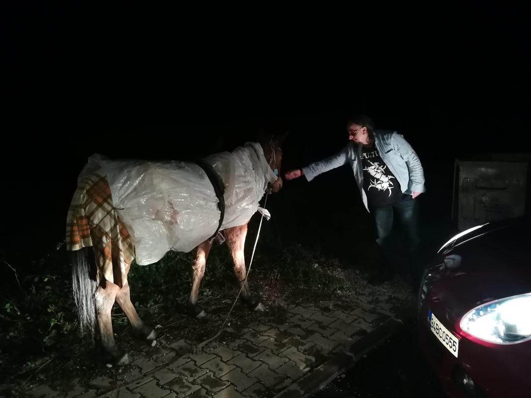 Atı donmasın diye naylona sardı!