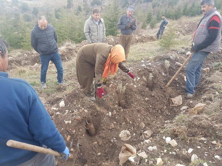 Antalya’da Bal Ormanı projesi G3
