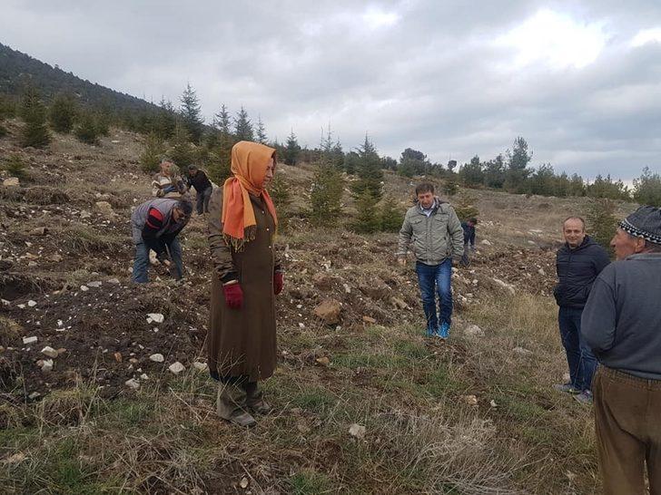 Antalya’da Bal Ormanı projesi G4