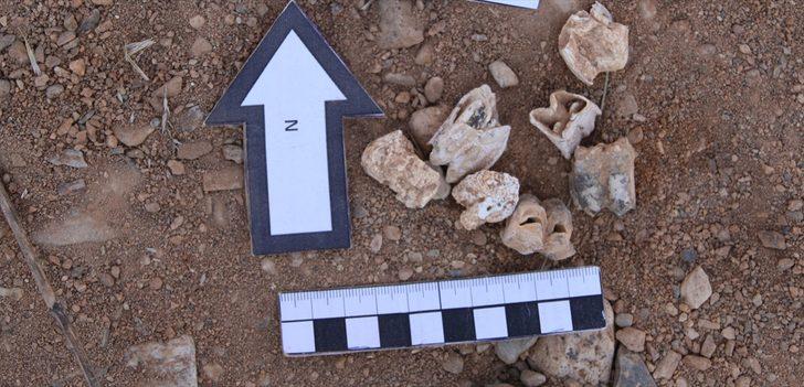 Arkeologlar 9 milyon yıl öncesine gidecek G4