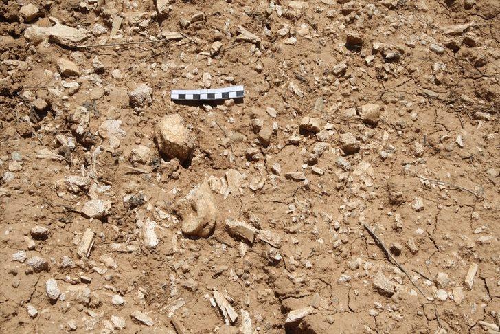 Arkeologlar 9 milyon yıl öncesine gidecek G5