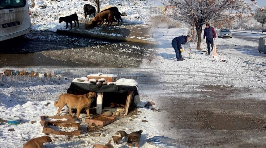 Sokak hayvanları unutulmadı