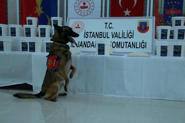 (Geniş haber) - İstanbul Jandarma ekiplerinden dev operasyon