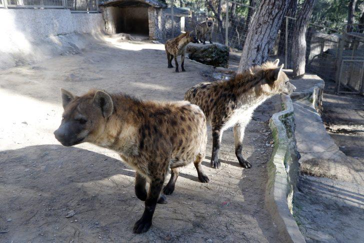 Özel sığınaklar ve ısıtıcılarla kışı rahat geçirecekler  G2