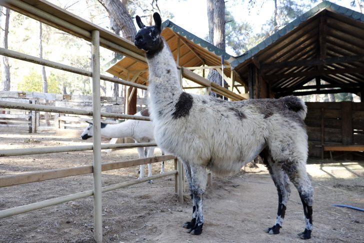 Özel sığınaklar ve ısıtıcılarla kışı rahat geçirecekler  G3