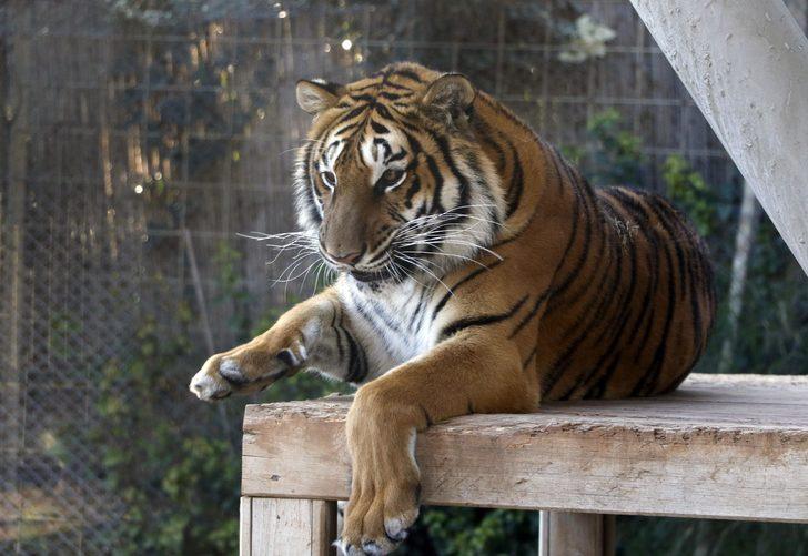 Özel sığınaklar ve ısıtıcılarla kışı rahat geçirecekler  G4