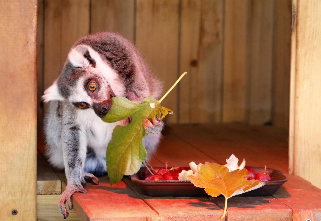 &Ouml;zel sığınaklar ve ısıtıcılarla kışı rahat ge&ccedil;irecekler 