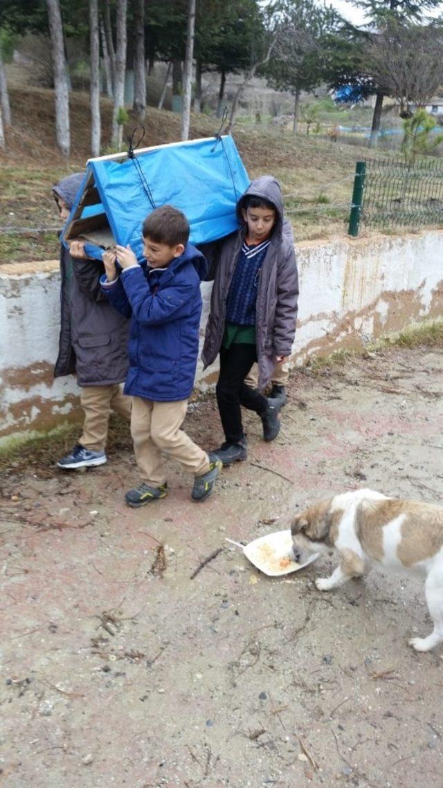 Pazarlar’da ’Her okulun bir evcil hayvanı olsun’ projesi