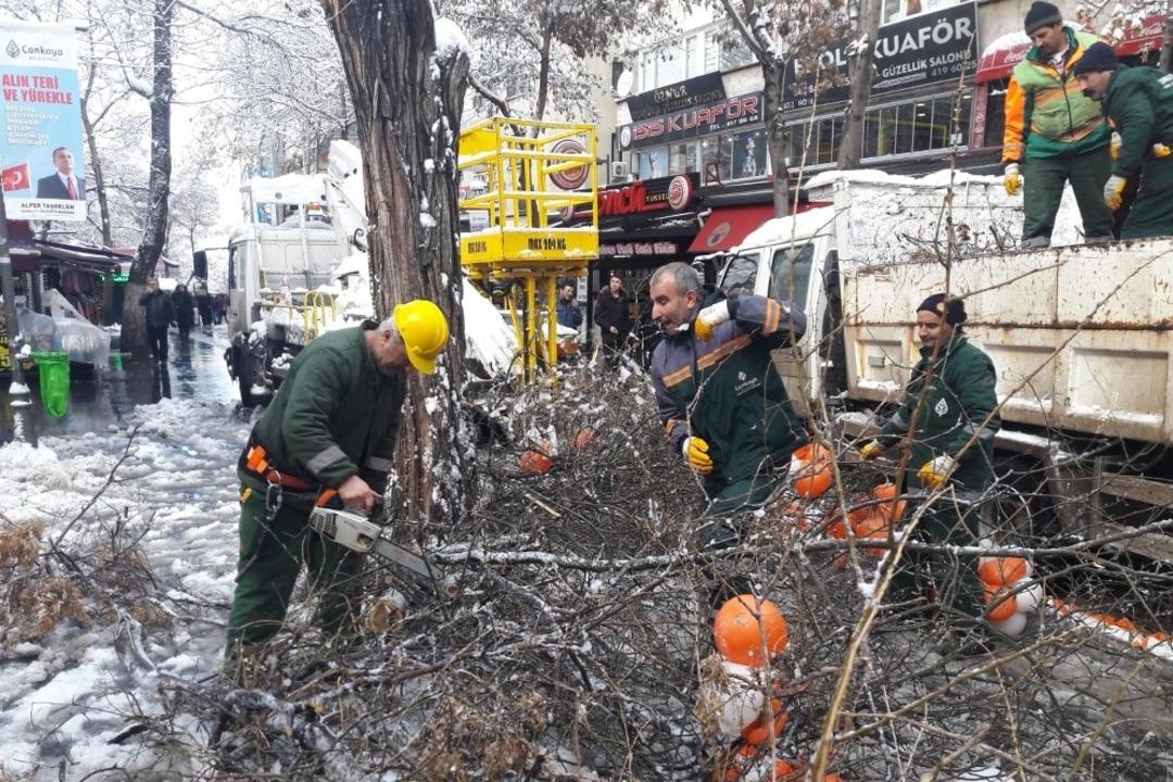 Kar devirdi, &Ccedil;ankaya Belediyesi ekipleri temizledi