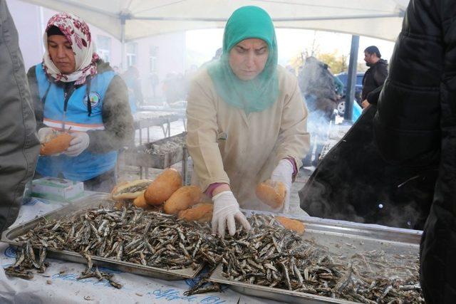 Öğrenciler hamsi festivalinde coştu