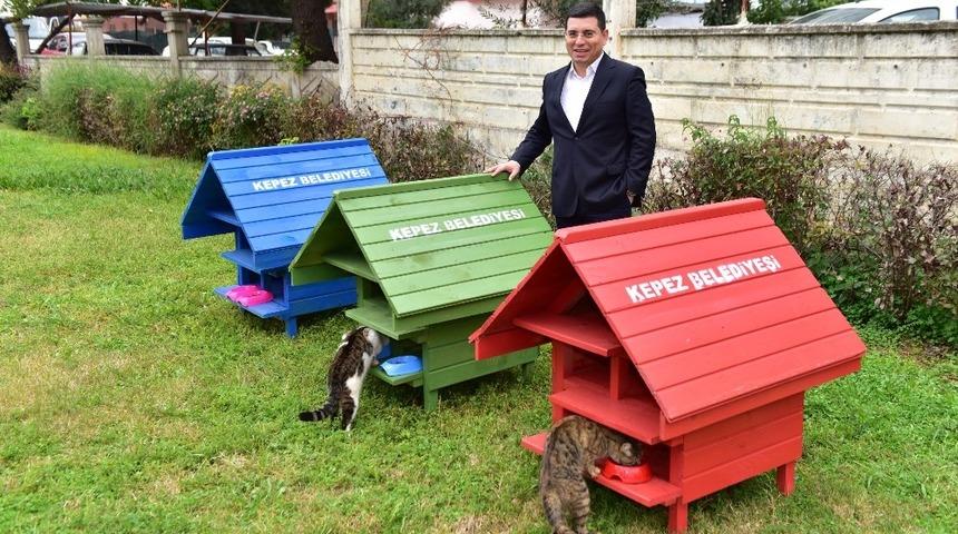 Kepez&rsquo;den parklara kedi evi