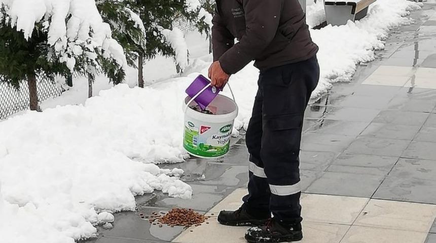 Aksaray Belediyesi doğaya yem bıraktı