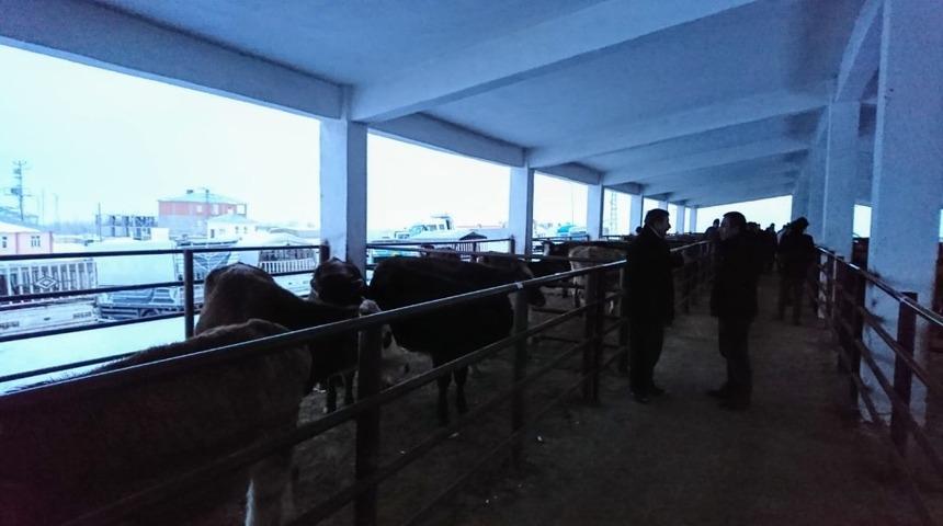 Bulanıklı gen&ccedil; &ccedil;ift&ccedil;ilere hayvan dağıtımı