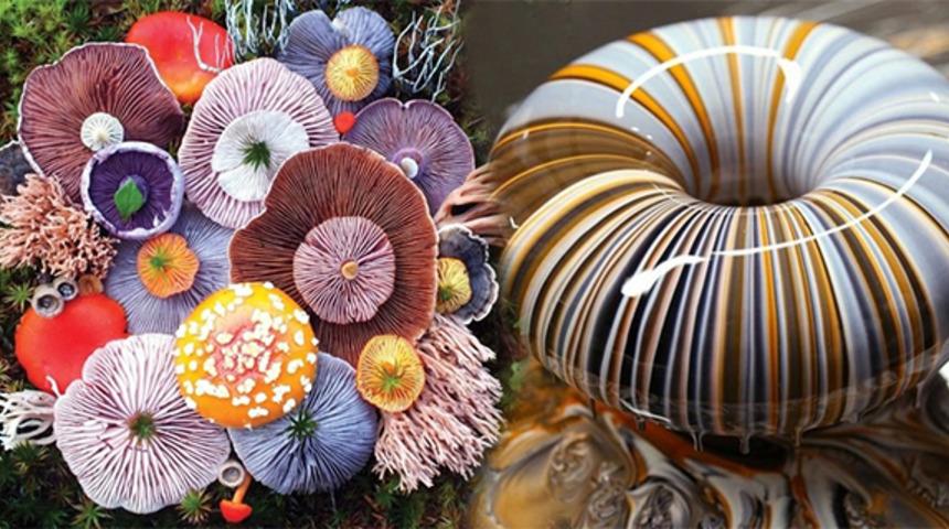 Kusursuzluğuyla göz dolduran  20 fotoğraf karesi