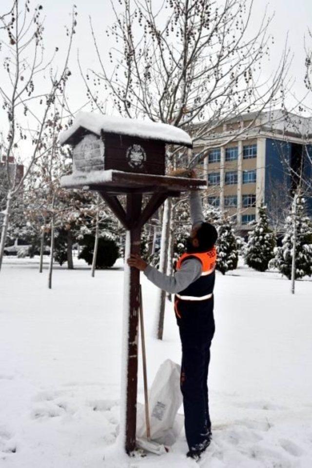 Selçuklu Belediyesi sokak hayvanları için doğaya yem bıraktı