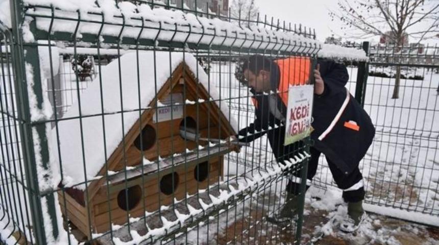 Sel&ccedil;uklu Belediyesi sokak hayvanları i&ccedil;in doğaya yem bıraktı