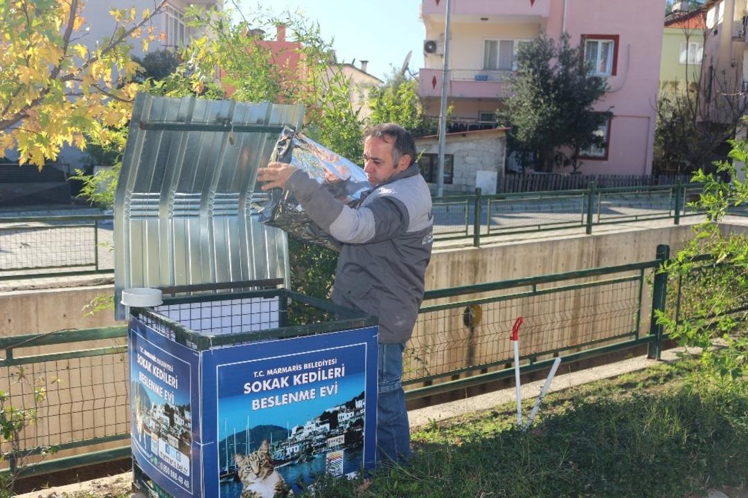 Marmaris&rsquo;te sokak kedileri a&ccedil; kalmıyor
