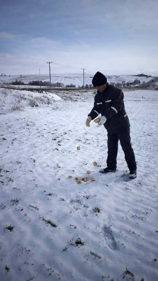 Kırşehir’de sokak hayvanları için doğaya yem bırakıldı