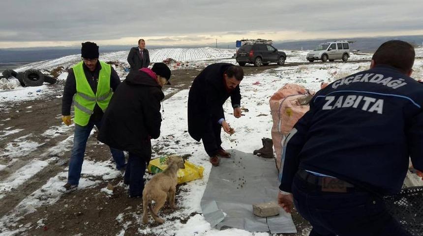İsmail Deniz: "Belediye adına &ccedil;ıkan asılsız haberlere itibar etmiyoruz"
