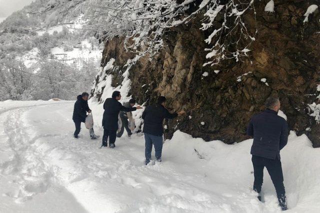 Kürtün’de yaban hayvanları için doğaya yem bırakıldı