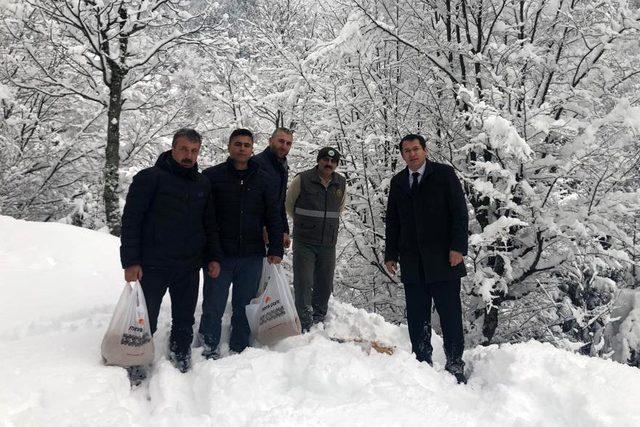 Kürtün’de yaban hayvanları için doğaya yem bırakıldı