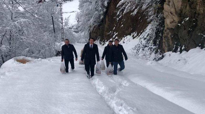 K&uuml;rt&uuml;n&rsquo;de yaban hayvanları i&ccedil;in doğaya yem bırakıldı