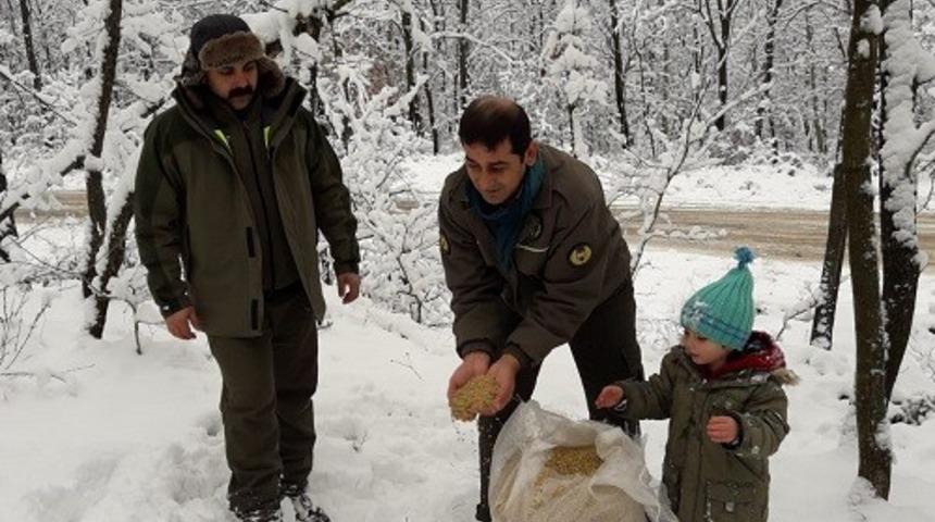 Yaban hayvanları i&ccedil;in dağlara yiyecek bırakıldı