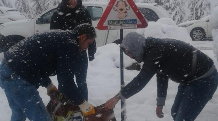 İzmit&rsquo;te sokak hayvanları unutulmuyor