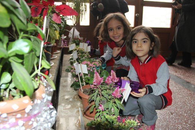 493 öğrenci okulda çiçek yetiştirdi